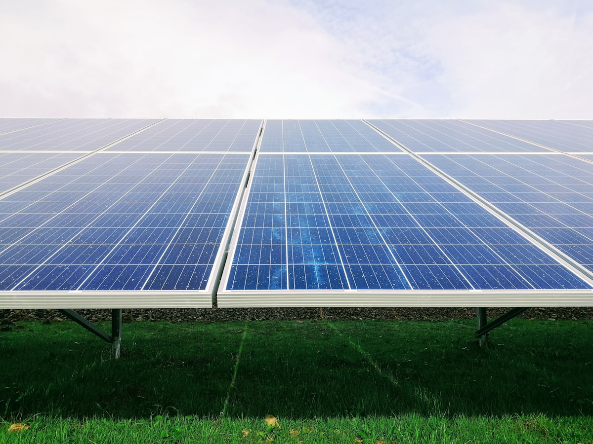 Photovoltaic modules above green grass